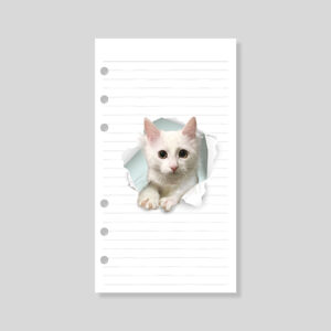 nakami 市川さんちの猫