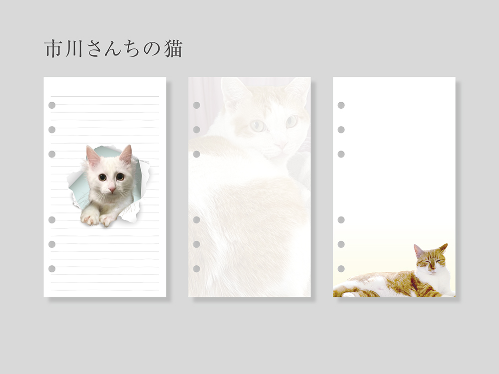 nakami 迷える3シリーズセット - 画像 (5)